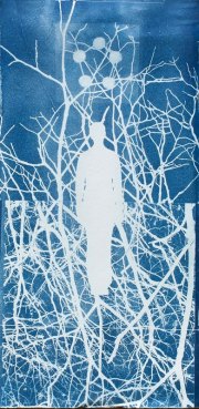 Navigating the Web, 15 x 7.25 inches., cyanotype on paper