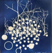 <em>Tree-maps-I<em></em>, 12 x 10 in., cyanotype</em>